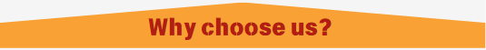 why.png
